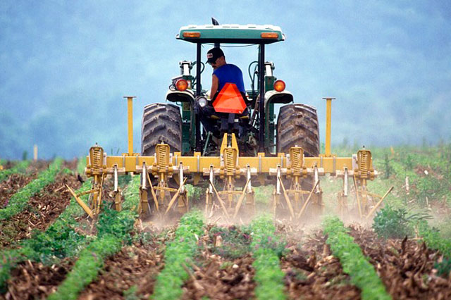 agricultor